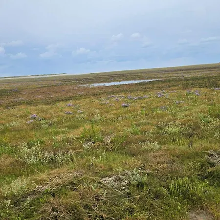 Hébergement de vacances 6 Person In Romo-by Traum Rømø Kirkeby